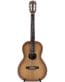 Gitarren online Shop -