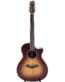 Gitarren online Shop -