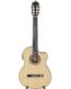 Gitarren online Shop -