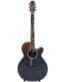 Gitarren online Shop -