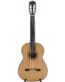Gitarren online Shop -