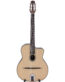 Gitarren online Shop -