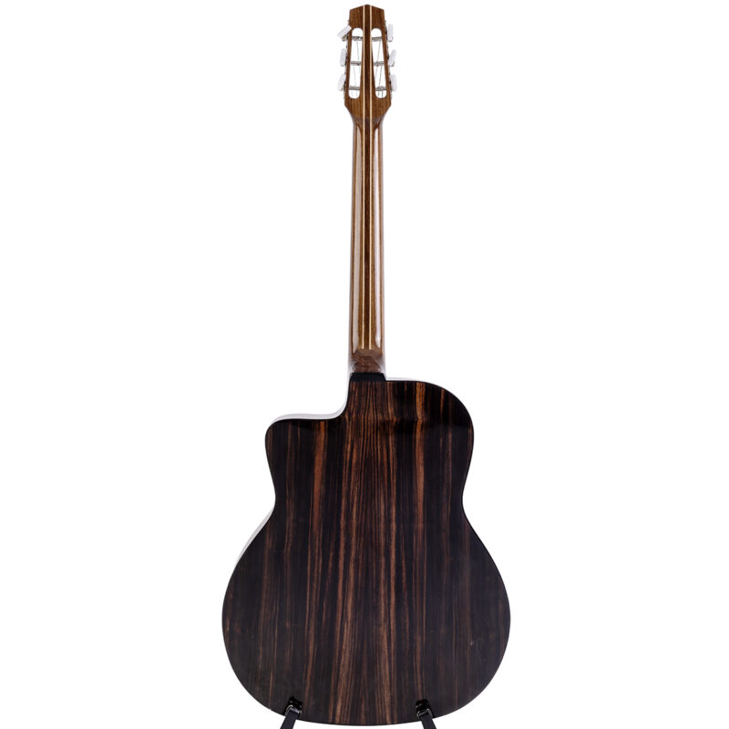 Gitarren online Shop -