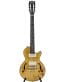 Gitarren online Shop -