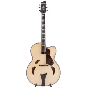 Archtop Gitarre