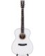 Gitarren online Shop -
