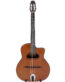 Gitarren online Shop -