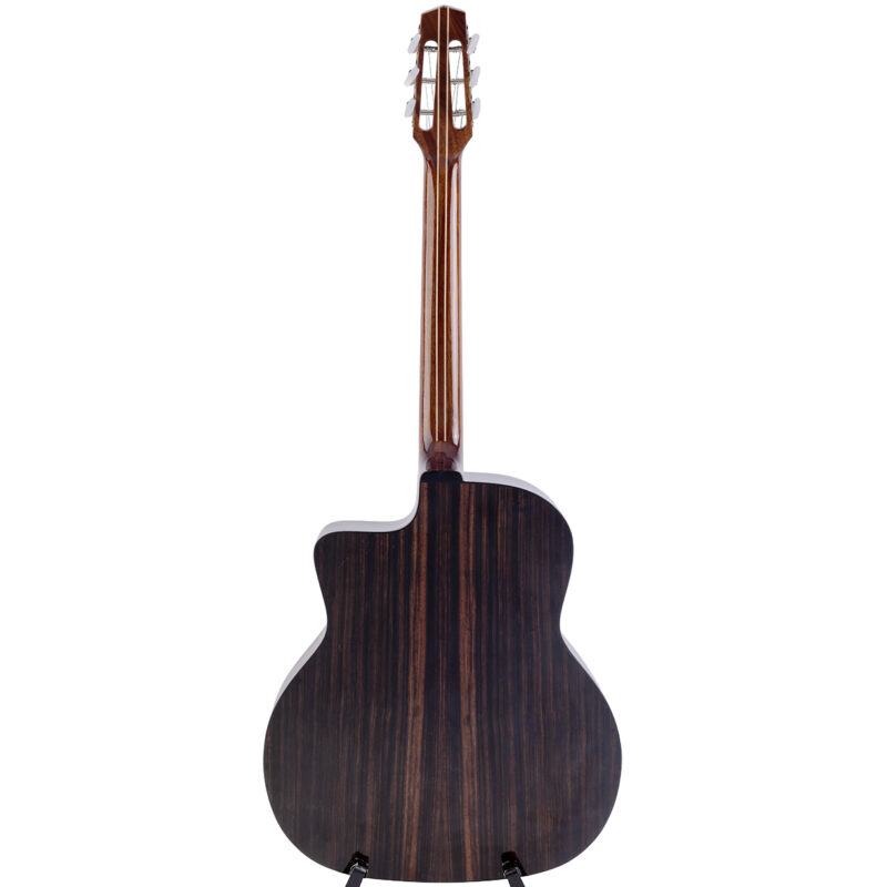 Gitarren online Shop -