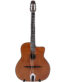 Gitarren online Shop -