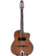 Gitarren online Shop -