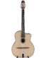 Gitarren online Shop -