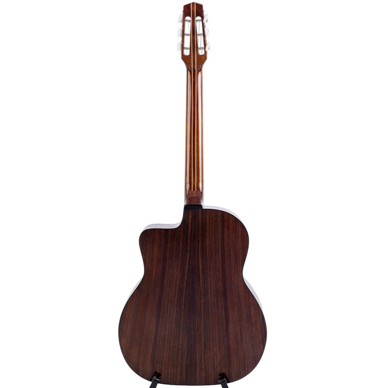 Gitarren online Shop -