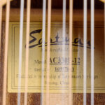 Eastman AC330E-12 – Bild 11