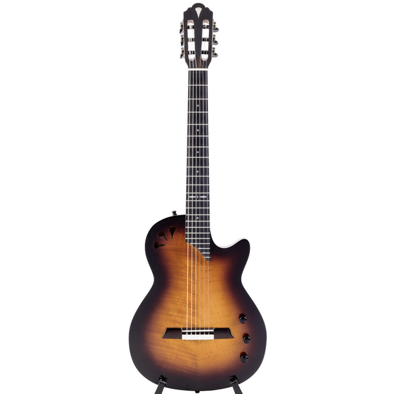 Gitarren online Shop -