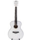 Gitarren online Shop -