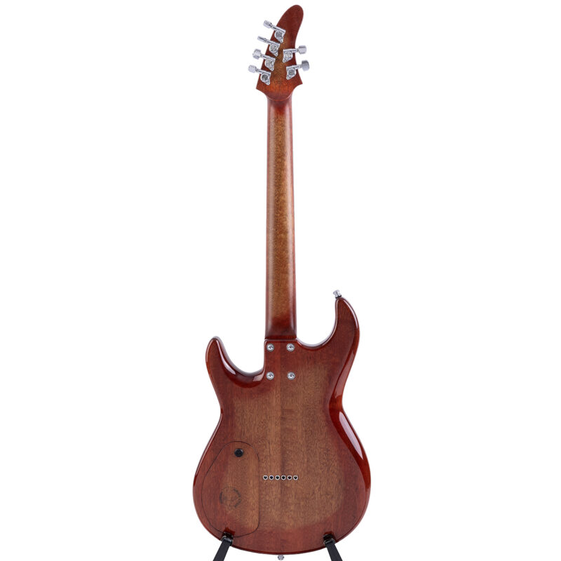 Gitarren online Shop -
