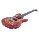 Surikata Luthiery Masterbuilt - Delphinus 6 String – Bild 4