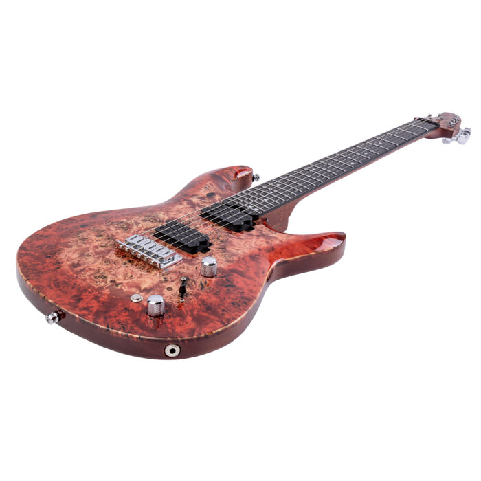 Surikata Luthiery Masterbuilt - Delphinus 6 String – Bild 4