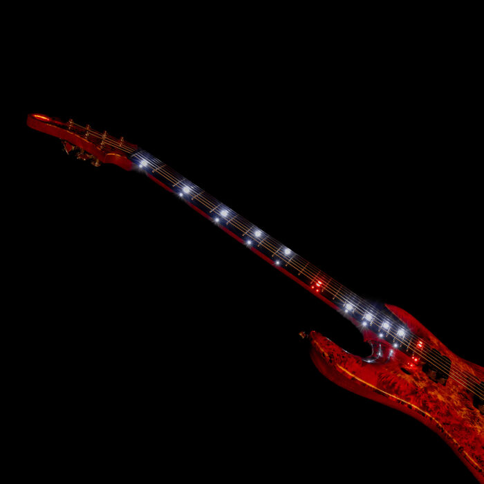 Surikata Luthiery Masterbuilt - Delphinus 6 String – Bild 13