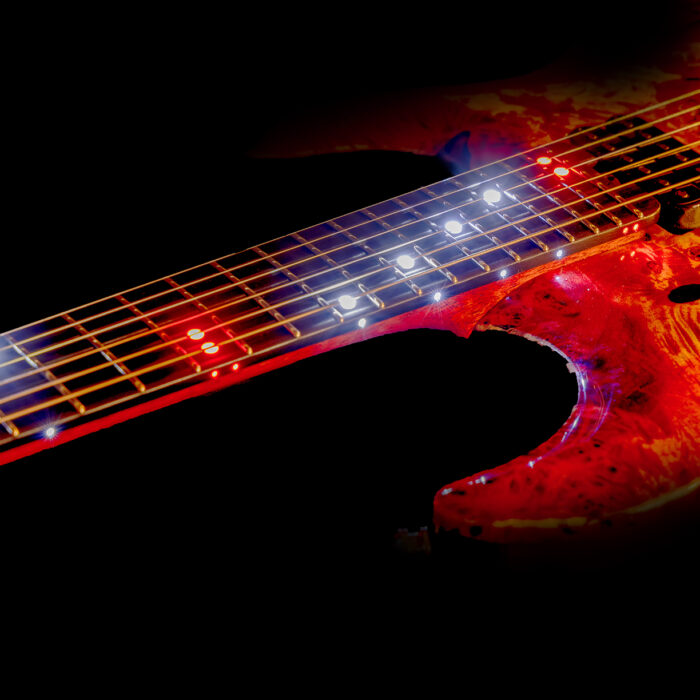 Surikata Luthiery Masterbuilt - Delphinus 6 String – Bild 14
